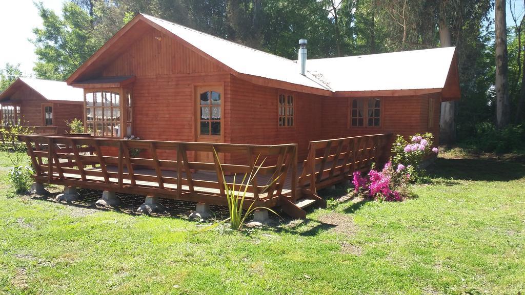 Rosa House Pinto